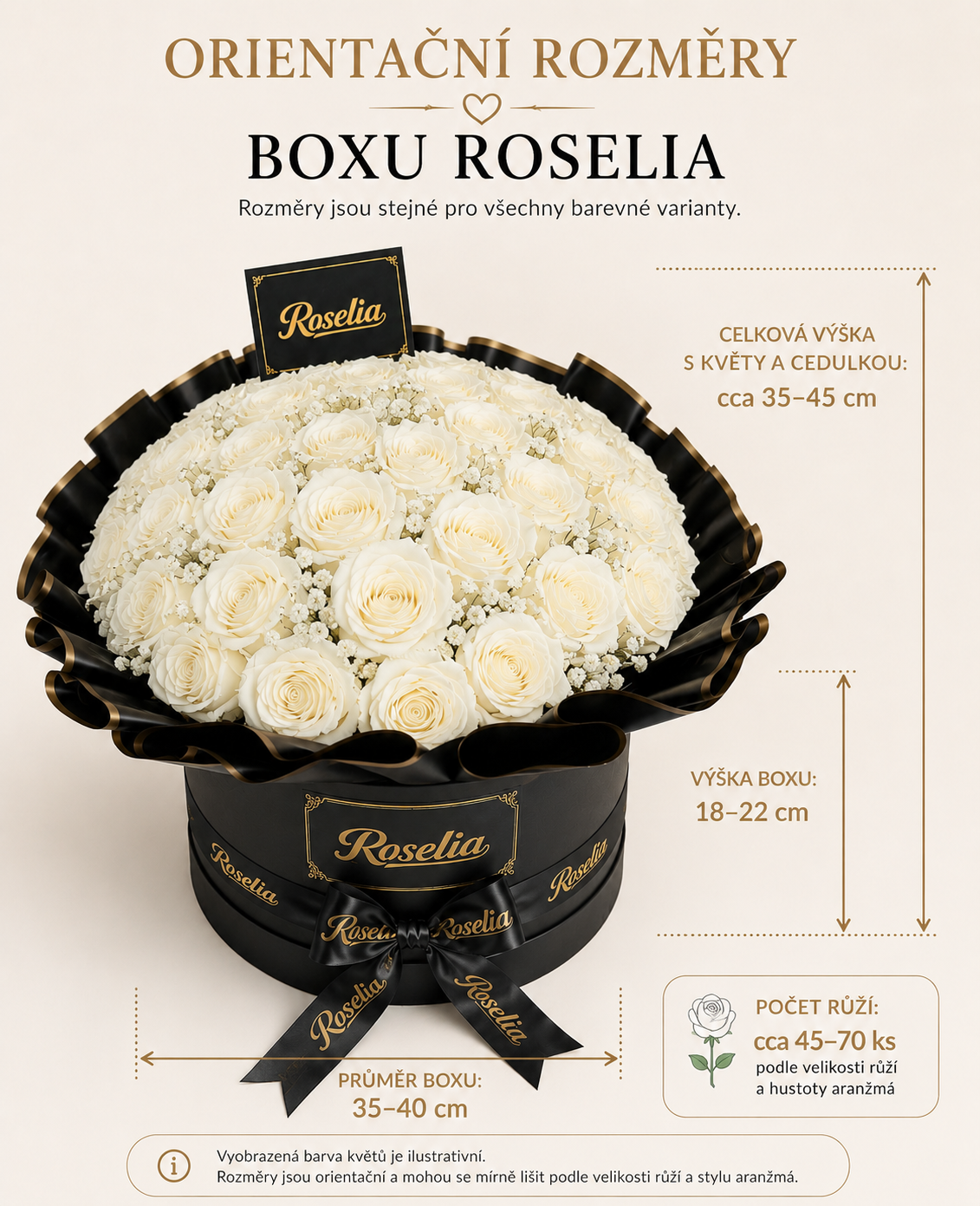 Rozměry  - růže XXL box_1